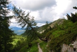 Clicca qui per vedere l'immagine in dettaglio
